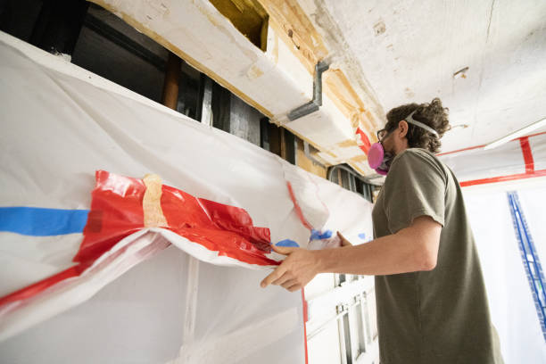 Mold Odor Removal Services in Conashaugh Lakes, PA